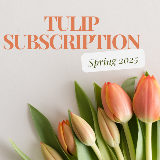 2025 Tulip Subscription