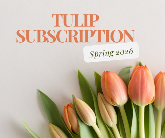 2026 Tulip Subscription - EARLY BIRD!